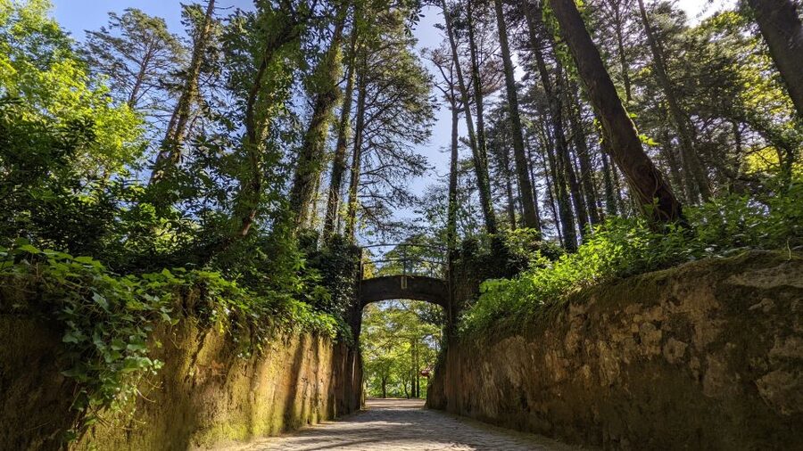 From Lisbon: Sintra Pena Palace Cascais 8-People Group Tour - Cascais, lunch, and time by the sea