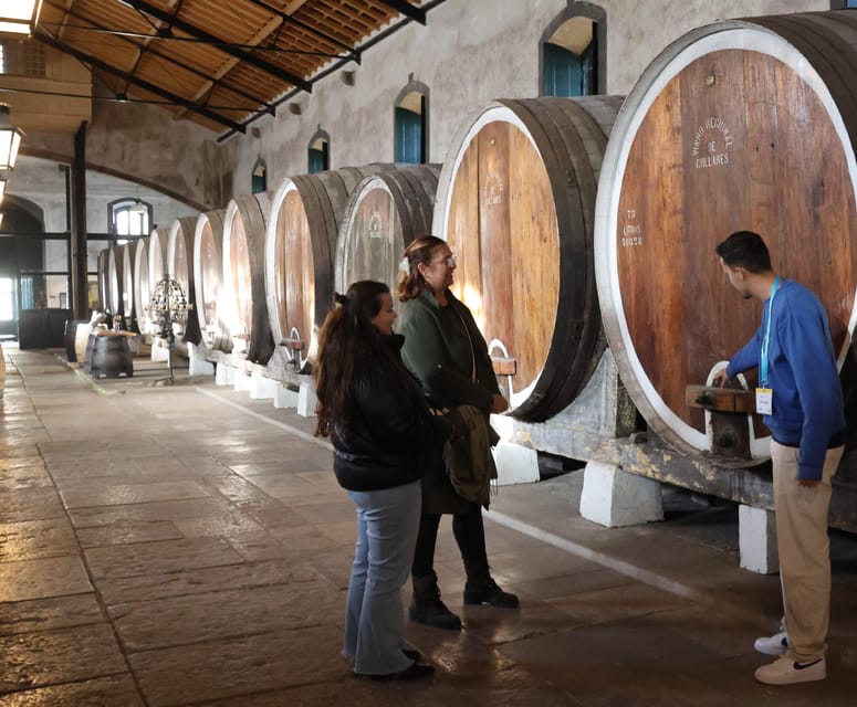 From Lisbon: Sintra, Pena Palace, Cascais and Wine Tasting - Why This Route Works From Lisbon