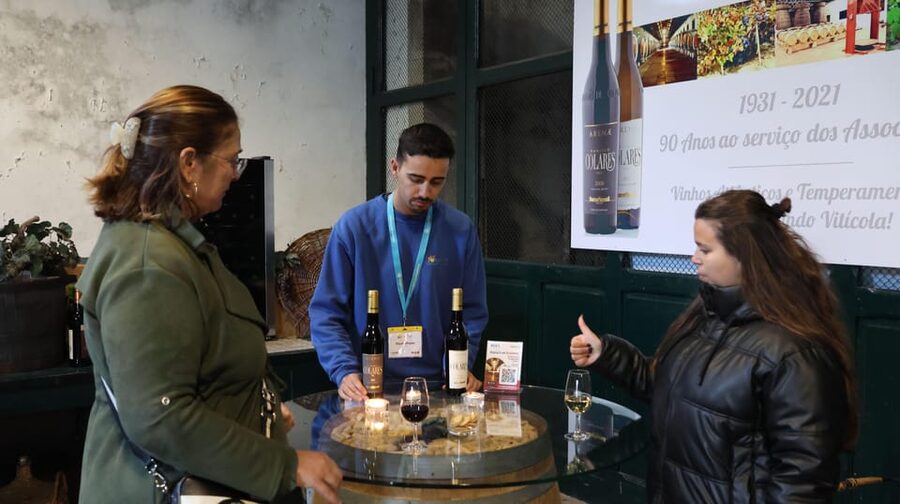 From Lisbon: Sintra, Pena Palace, Cascais and Wine Tasting - What to Bring and How to Prepare