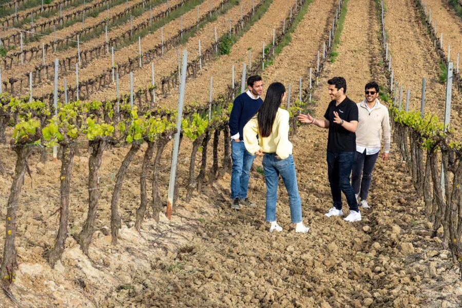 From Lisbon: Sintra & Pena Palace Day Trip with Wine Tasting - From Sintra to the Mafra wine region