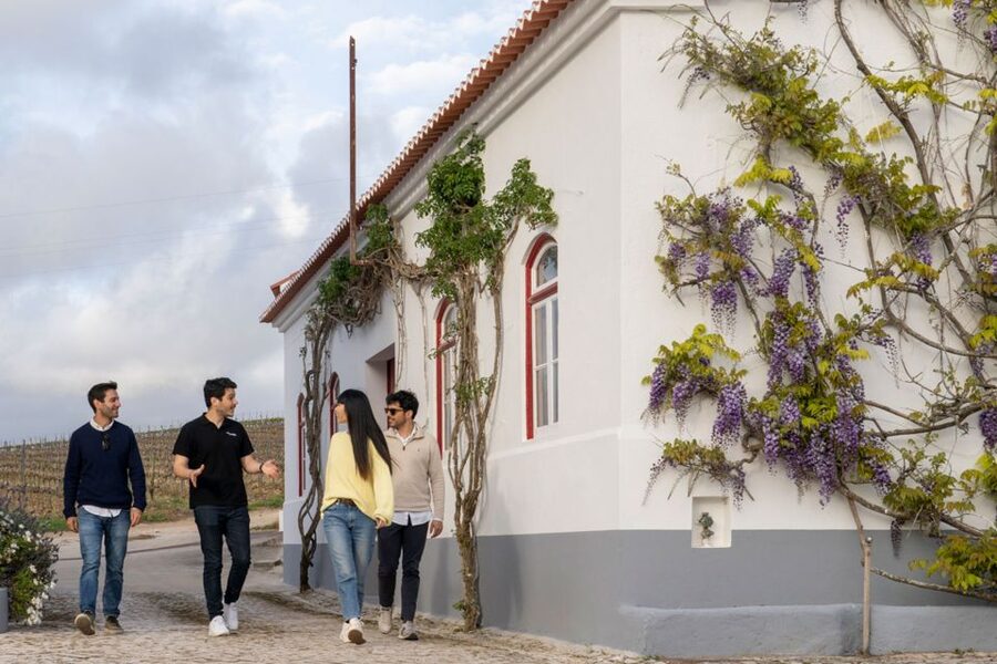 From Lisbon: Sintra & Pena Palace Day Trip with Wine Tasting - Why a small group changes the Sintra visit