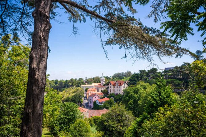 From Lisbon: Sintra, Pena Palace & Wine Tasting Small-Group Tour - Why this day trip works