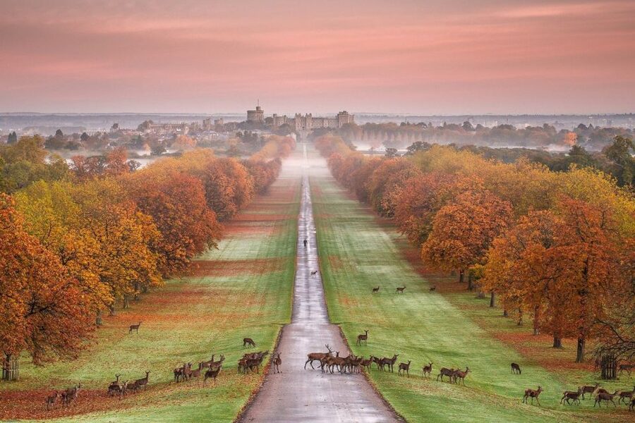 From London: Windsor Castle Royal Afternoon Sightseeing Tour - St. George’s Chapel deserves first priority