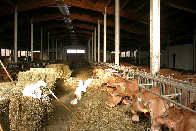 From Parma: Parmigiano Reggiano Farm Tour & Tasting with Transfer - Who will enjoy this Parmigiano-Reggiano tour?