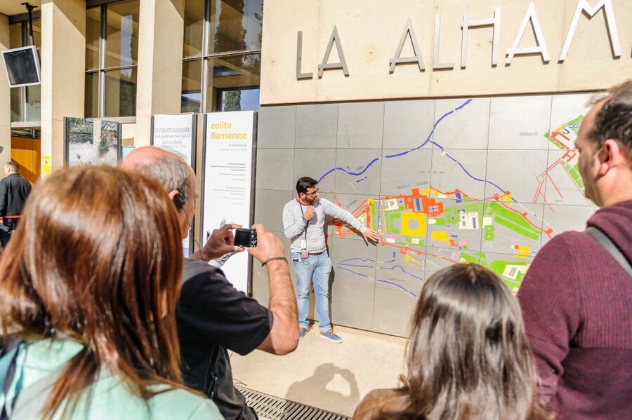 From Seville: Granada Day Trip Alhambra and Albaycin - Who should choose this day trip