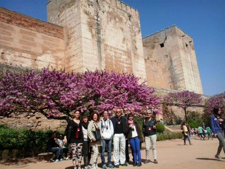 From Seville: Granada Day Trip with Alhambra and Albaicín - Guides, languages, and the value of a group visit