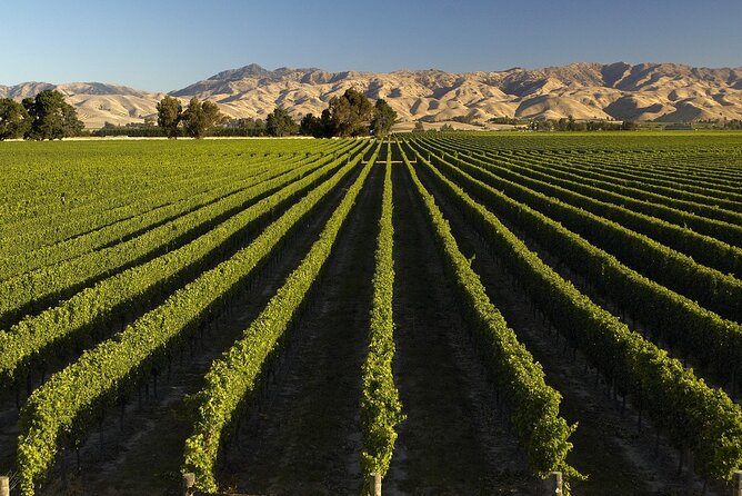 Full-Day Marlborough Wine Tour from Blenheim - The afternoon route and the return to Blenheim