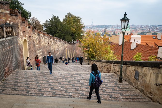 Full-Day Prague Tour with Prague Castle, Lunch and Vltava Cruise - Lunch with Czech choices