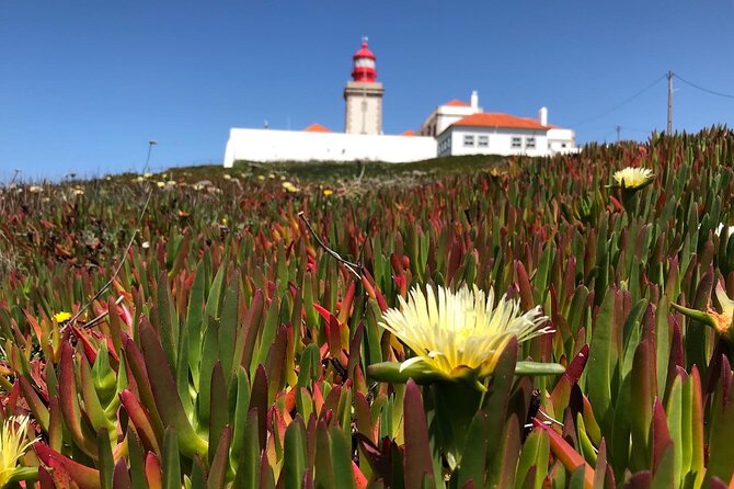 Full Day Tour: Sintra, Pena Palace, Cabo da Roca, Cascais - Cabo da Roca and the edge of Europe