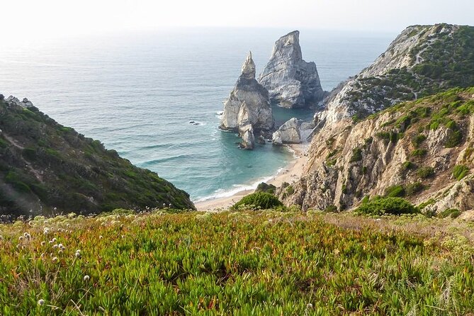 Full Day Tour: Sintra, Pena Palace, Cabo da Roca, Cascais - The practical details that matter