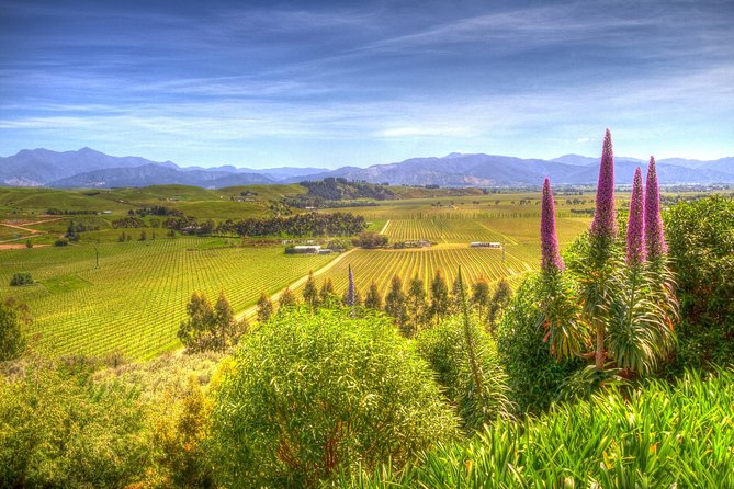 Full-Day Wine Gourmet and Scenic Delight Tour of Marlborough from Blenheim - Key points at a glance