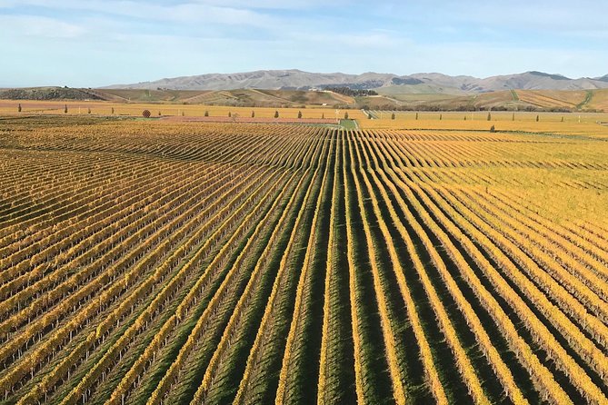 Full-Day Wine Gourmet and Scenic Delight Tour of Marlborough from Blenheim - Framingham shows the region beyond sauvignon blanc