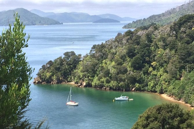 Full-Day Wine Gourmet and Scenic Delight Tour of Marlborough from Blenheim - The Vines Village is the longest and most flexible stop