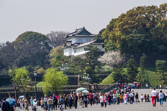 Full Tokyo: Meiji Shrine, Imperial Palace, Asakusa & Skytree - Start at Hachiko and see Tokyo in fast motion