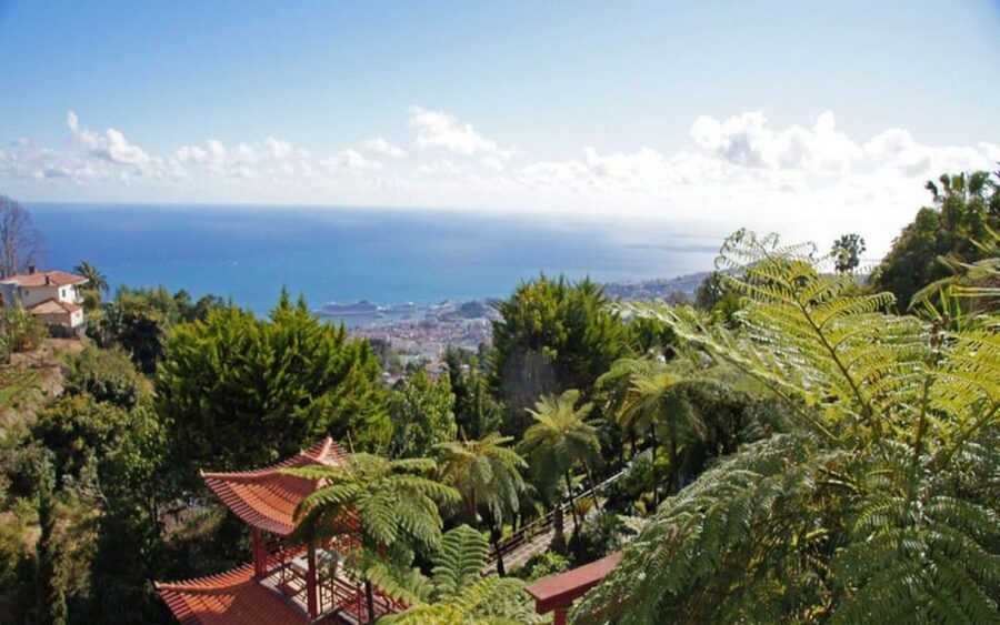 Funchal: Monte Palace Tropical Gardens Tuk Tuk Tour - The church visit in Monte