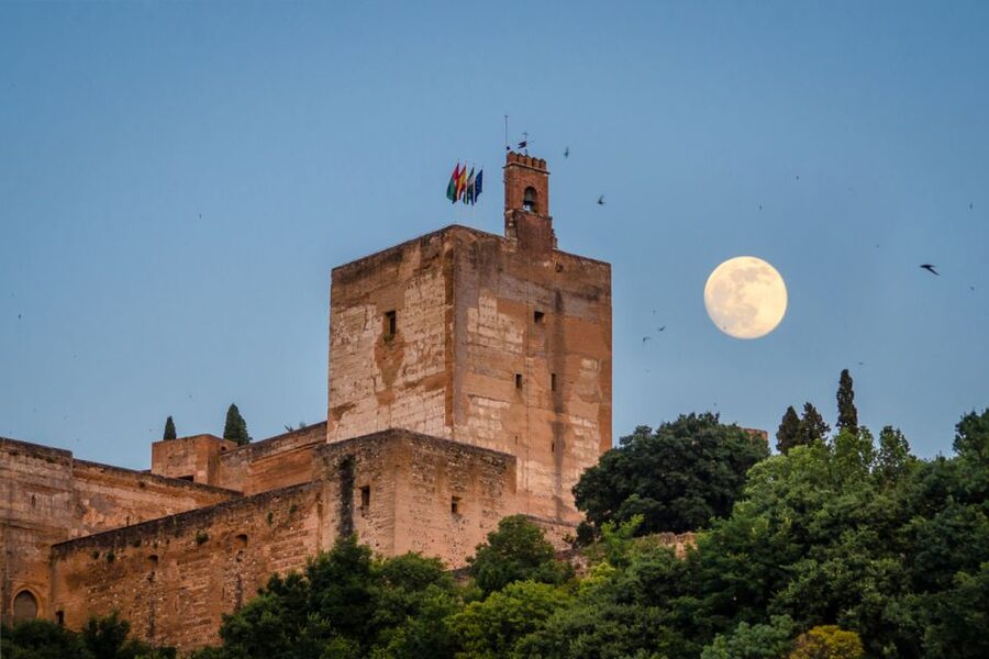Granada: Alhambra and City Private Tour - Inside the Nasrid Palaces