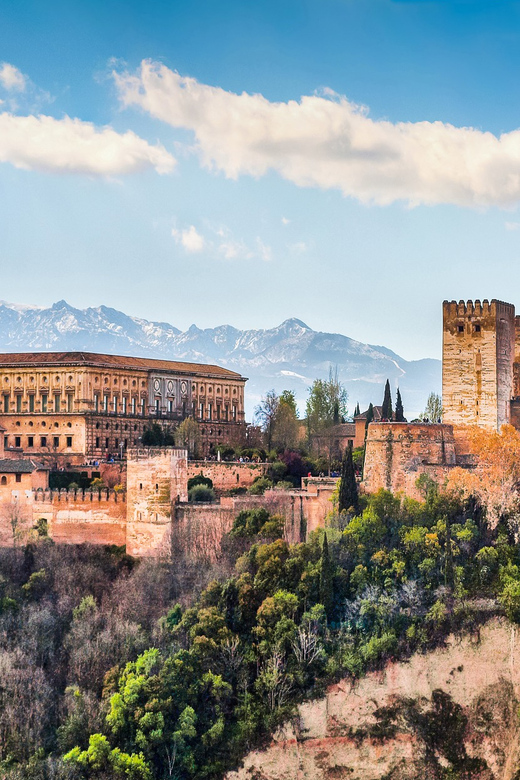 Granada: Alhambra and Nasrid Palaces Private Guide Tour - Key points to know before booking