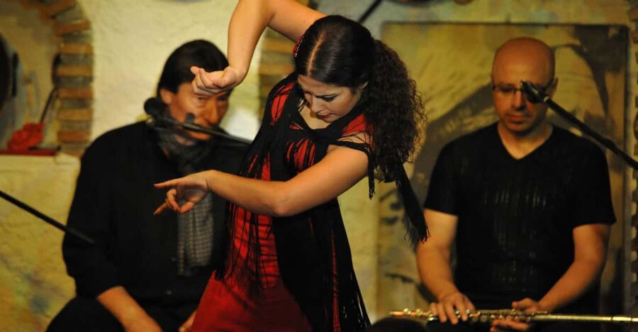 Granada: Alhambra Guided Tour and Flamenco Show - Practical details that affect your day