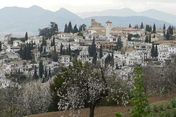 Granada Day Trip: Alhambra & Nazaries Palaces from Seville - Timing, delays, and communication