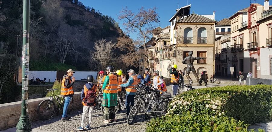 Granada: E-Bike Tour and Fast-Track Alhambra Ticket - Using the fast-track Alhambra ticket