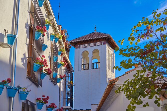 Granada full day: La alhambra completa + el Albaicin y Sacromonte - Why the Alhambra needs a reserved morning visit