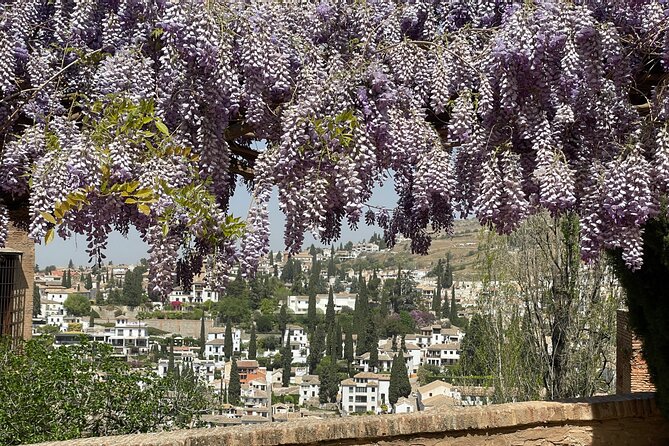 Granada : Private Alhambra Tour + Nazaries Palaces (VIP) - Generalife gardens: 90 minutes of calm and water