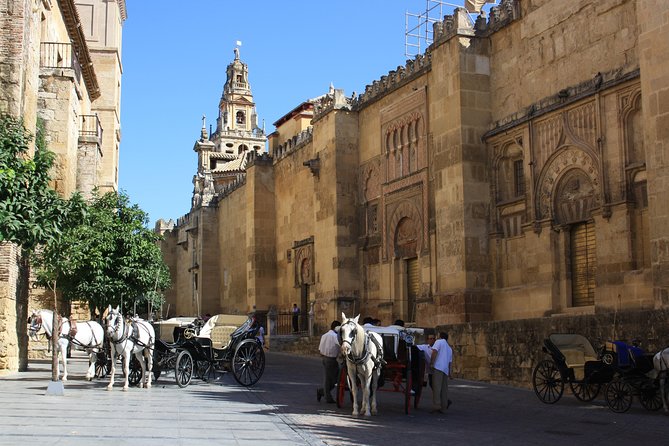 Guided tour: discover the 2 great monuments in Córdoba: Mezquita and Alcázar. - FAQ