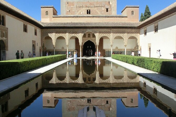 Guided tour of Alhambra and Generalife with Nasrid Palaces - Nasrid Palaces: the essential hour
