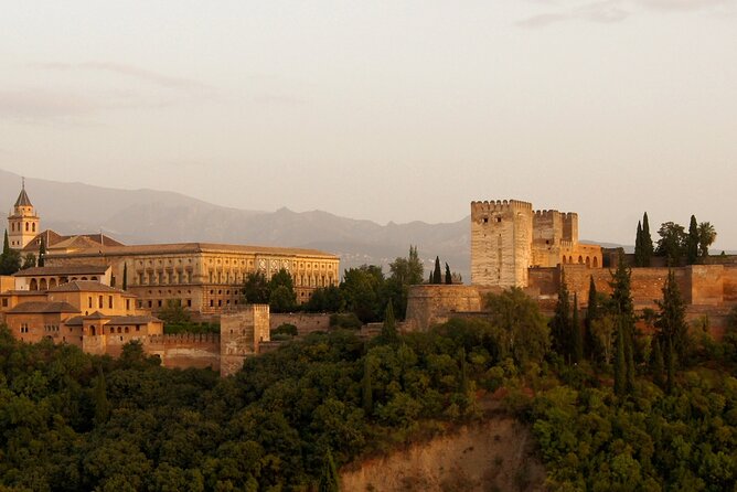Guided tour of Alhambra and Generalife with Nasrid Palaces - Partal and the Torre de las Damas