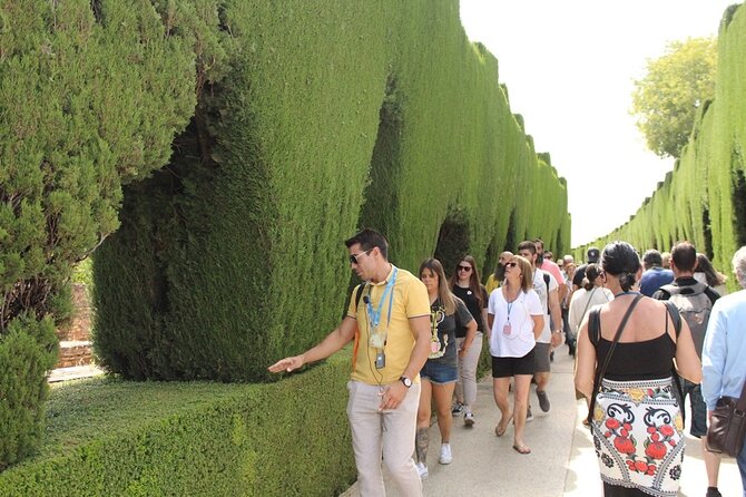 Guided visit to the Alhambra, Nasrid Palaces and Generalife - The Alcazaba and Torre de la Vela