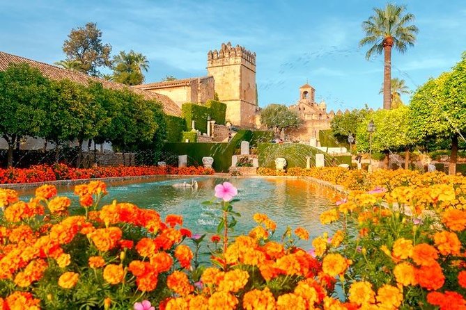 Guided visit to the Mosque-Cathedral, Jewish Quarter, Alcazar and Synagogue. Official guide - Pace, group size, and practical comfort
