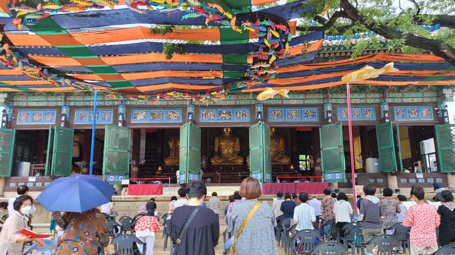 Gyeongbokgung Palace, Jogyesa Temple and Bukchon village - Bukchon village: beautiful houses, real neighborhood
