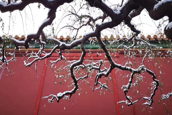 Half Day Beijing Group Tour to Tiananmen Square and Forbidden City - Tiananmen Square in a focused 30 minutes