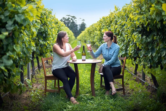 Half-Day Wine Tour from Blenheim - A gentle start to Marlborough wine country