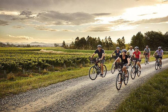Half-Day Wine Tour from Blenheim - Who will enjoy this afternoon most