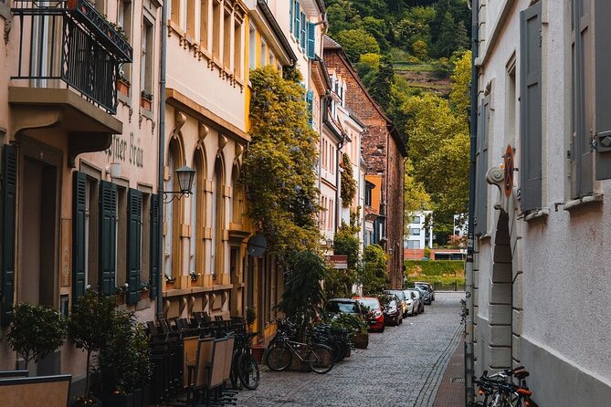 Heidelberg Castle and City Day Tour from Frankfurt - Group size, comfort, and timing