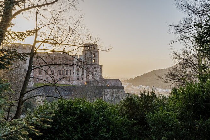 Heidelberg Castle and City Day Tour from Frankfurt - The one-hour ride and the guide’s commentary