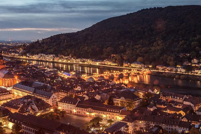 Heidelberg Castle and Old Town Tour from Frankfurt - Who should book this Heidelberg tour?