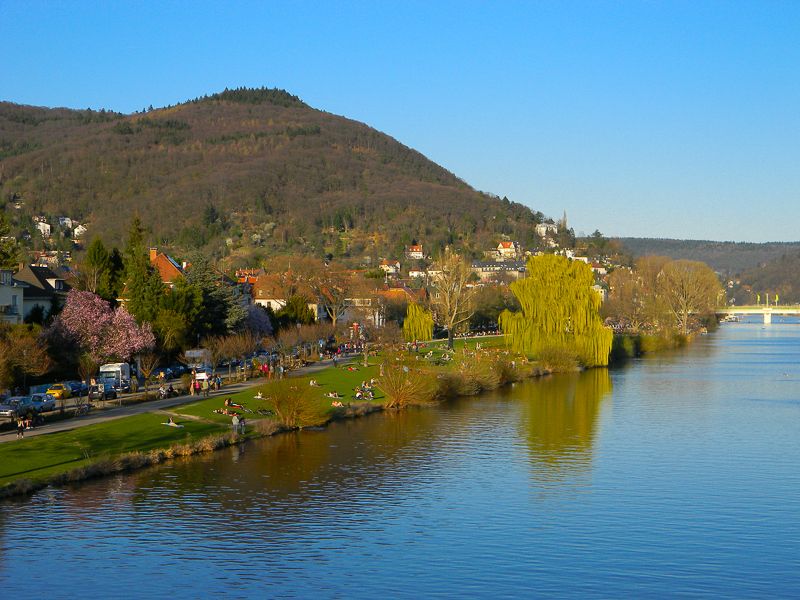 Heidelberg Castle Tour: Residence of the Electors - Starting at Kornmarkt near the Madonna Fountain