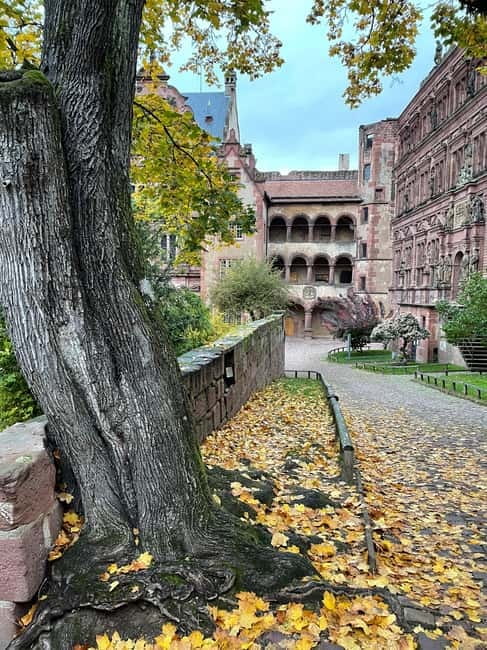Heidelberg: Discover Heidelberg Castle – experience history up close - Key points to know before you book