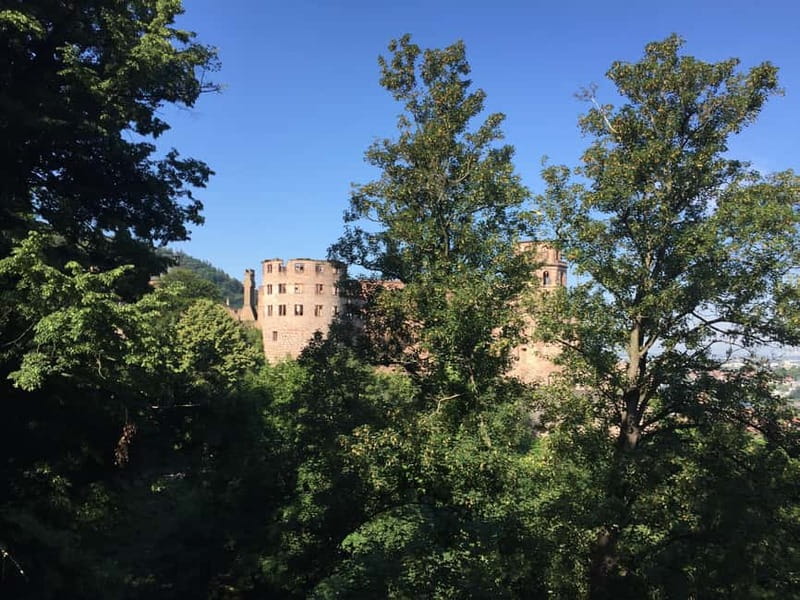 Heidelberg: Discover Heidelberg Castle – experience history up close - Descending to the enormous wine barrel
