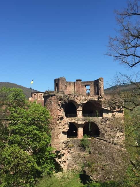 Heidelberg: Discover Heidelberg Castle – experience history up close - How the guides shape the experience