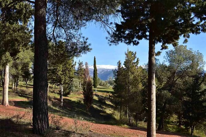 Hiking in the natural park on the outskirts of the Alhambra - Cerro del Sol and the climb to Llano de la Perdiz