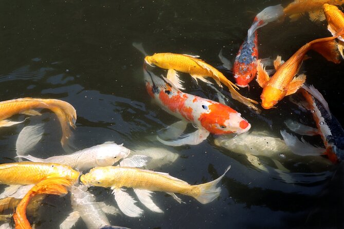 Imperial Palace East Garden and Edo Castle Walking Tour in Tokyo - Who should book this experience?