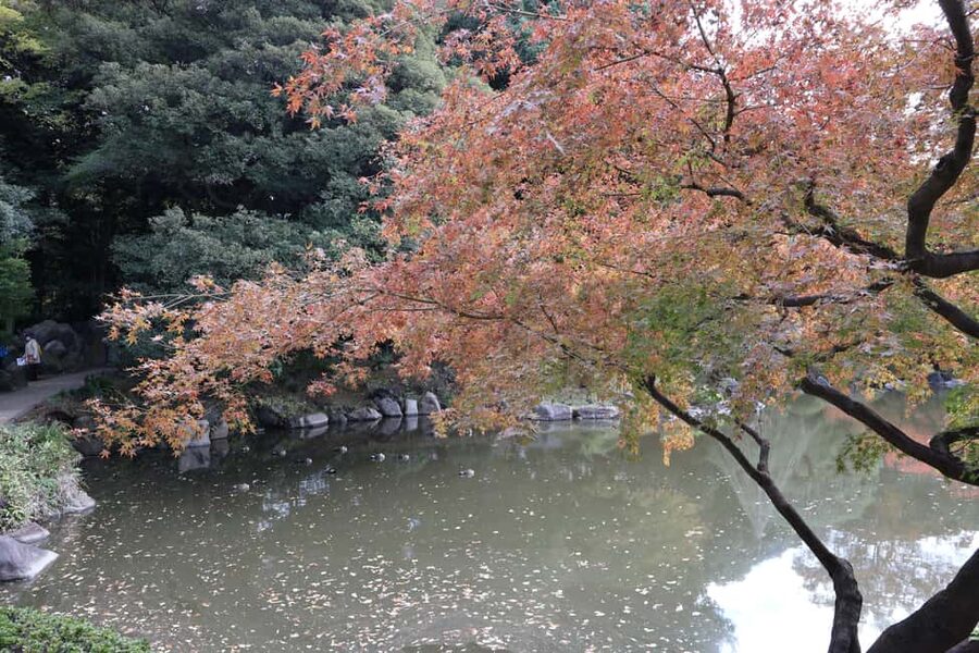 Imperial Palace Tour: Discover Samurai History with a Guide - FAQ