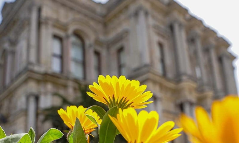 Istanbul: Beylerbeyi Palace Skip-the-Line Ticket & Audio … - Gardens and Bosphorus views