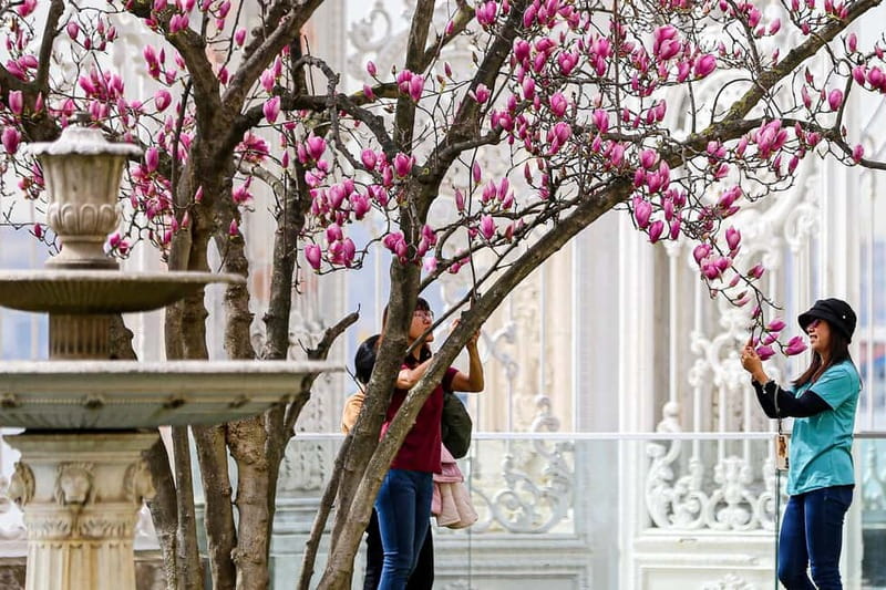 Istanbul: Dolmabahce Palace and Harem Fast-Track & Audio - Who should book this experience?