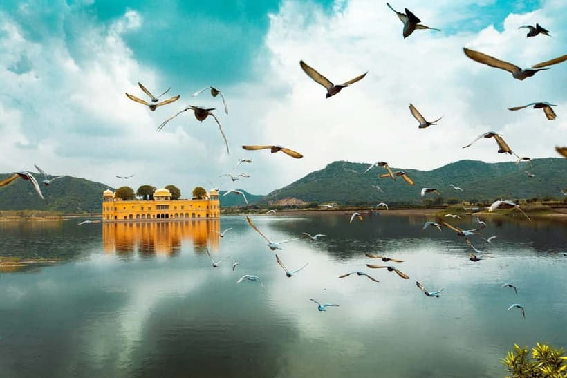 Jaipur: Amber Fort, Stepwell & Jal Mahal with Pickup - Key points at a glance