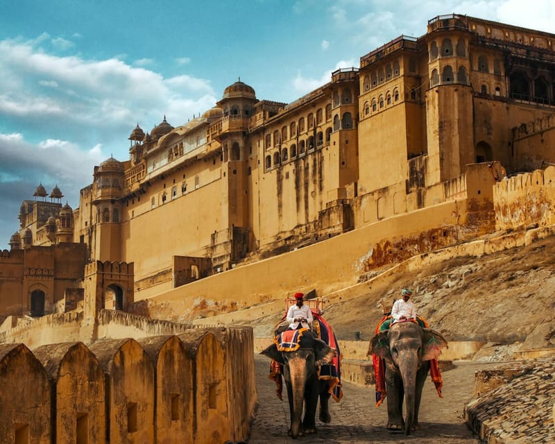 Jaipur: Amber Fort, Stepwell & Jal Mahal with Pickup - Who should book this experience?