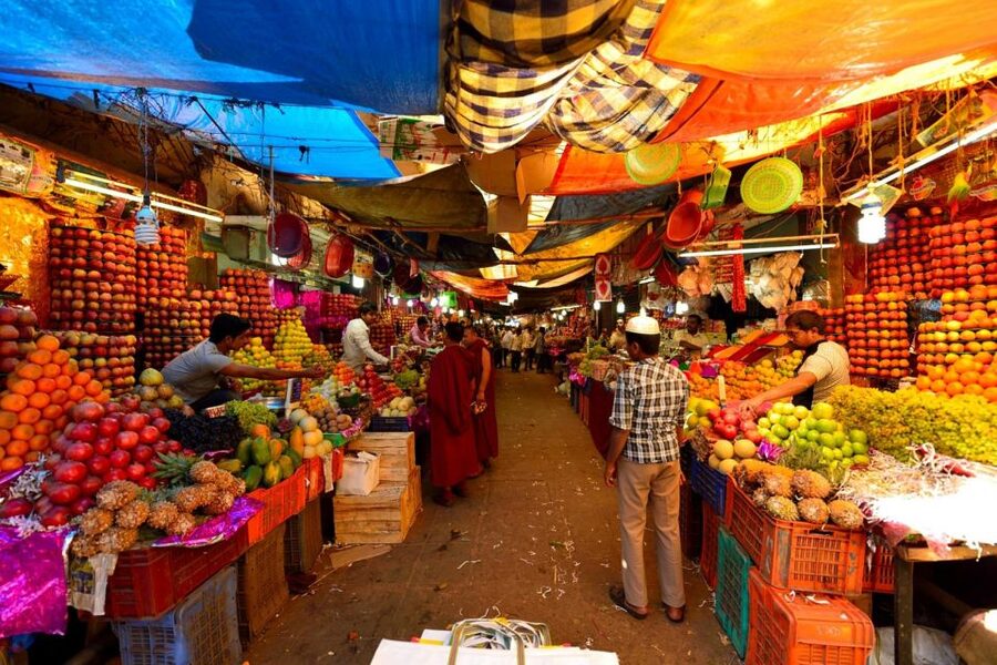 Jaipur Sightseeing by Tuk-Tuk: Temples, Palaces & Markets - Jal Mahal: a short stop on Man Sagar Lake
